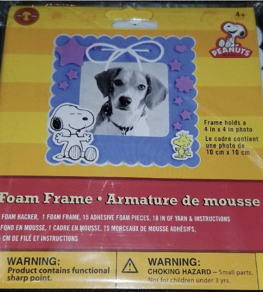 Peanuts Snoopy & Woodstock 4" x 4" DIY Foam Photo Frame